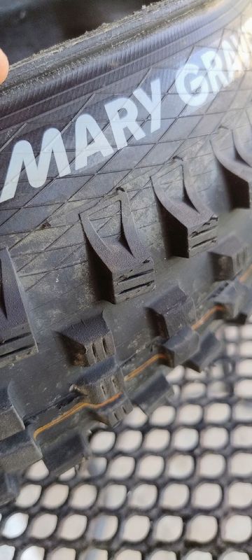 Schwalbe Magic Mary Gravity Pro 2026 bike d'occasion — image 2 sur 5