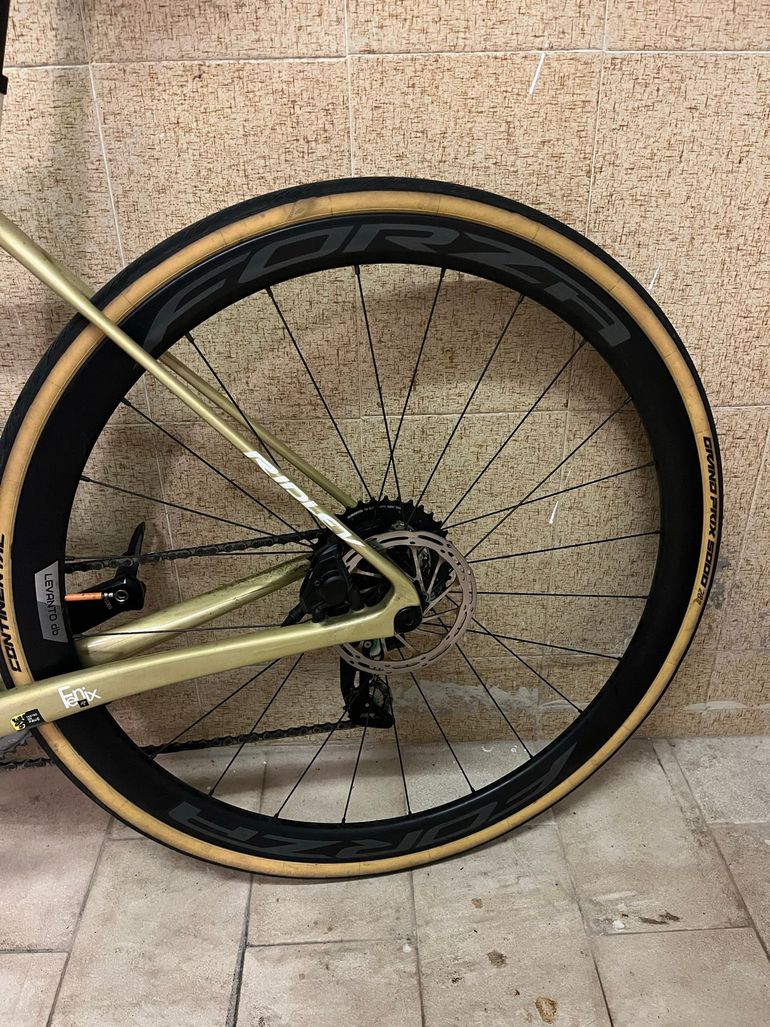 Brugt FORZA Levanto db Carbon Wheelset 2022 bike — billede 2 af 5