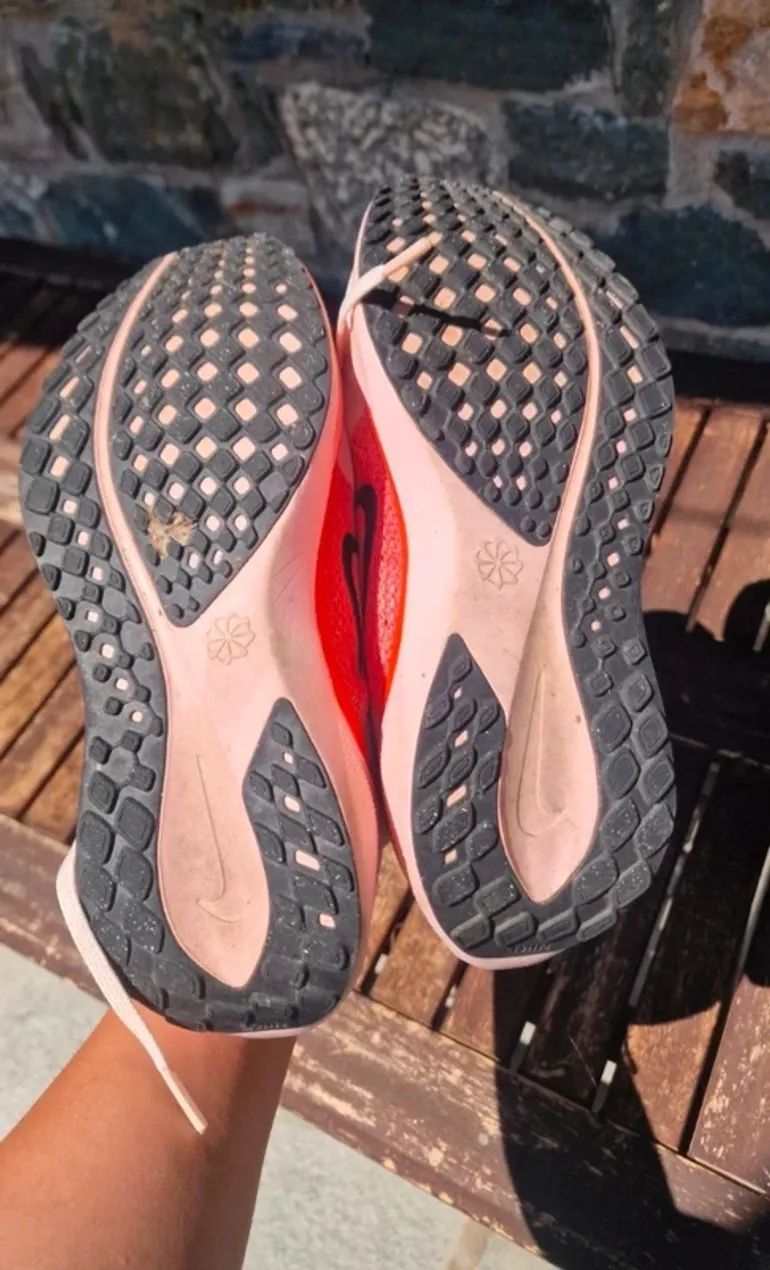 Used Pegasus Air Zoom 41 bike — image 5 of 9