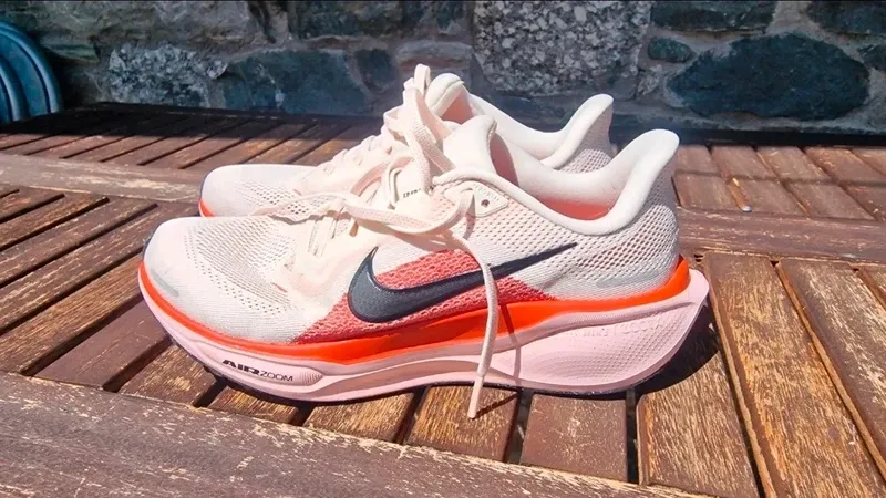 Gebrauchtes Pegasus Air Zoom 41 Running Shoes