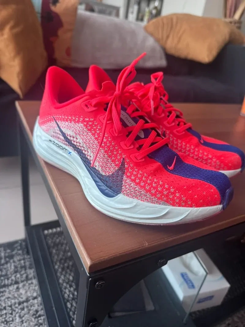 Used Pegasus plus Running Shoes