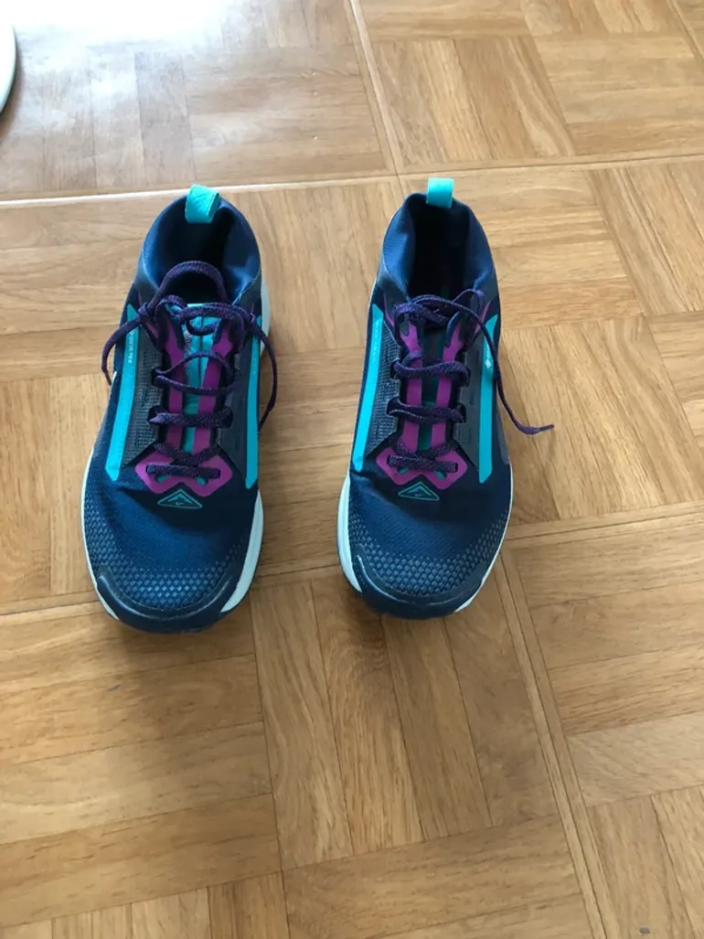 Used Pegasus Nike Trail 5 Gore-Tex bike — image 3 of 4