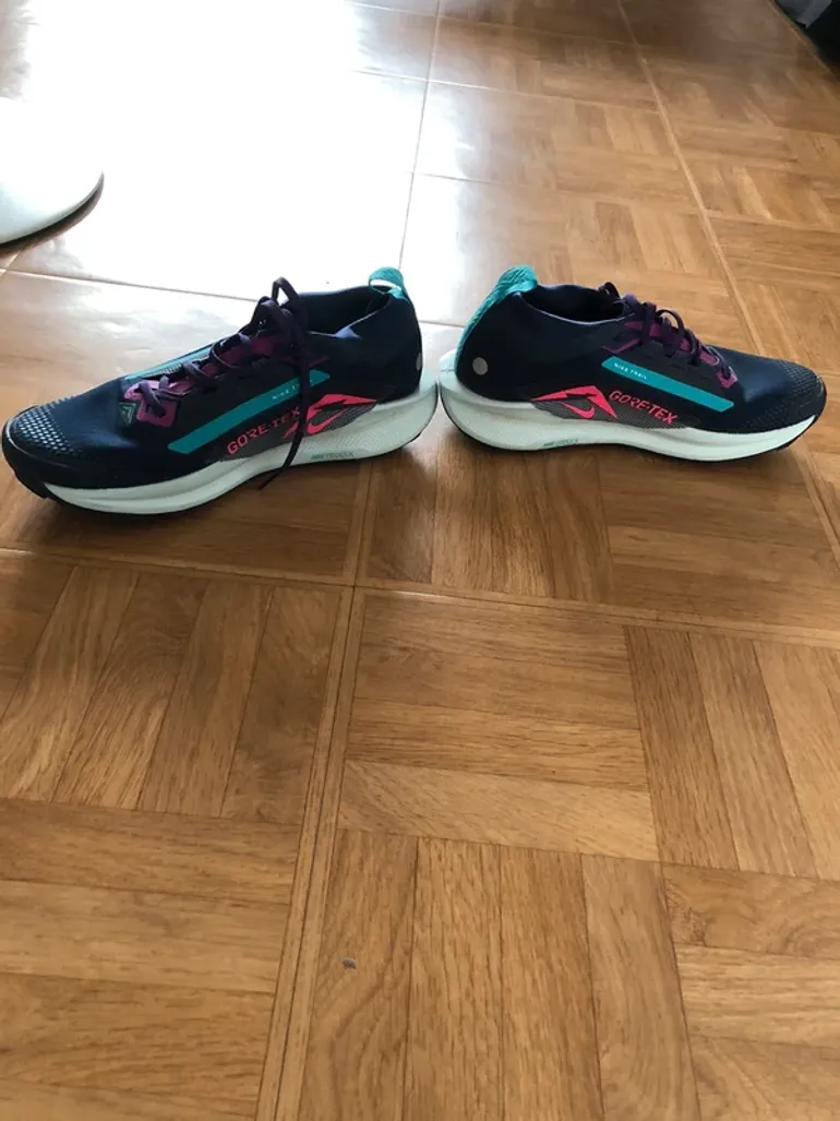 Used Pegasus Nike Trail 5 Gore-Tex bike — image 2 of 4