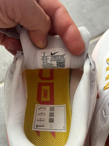 Used Pegasus 39 bike — image 6 of 7
