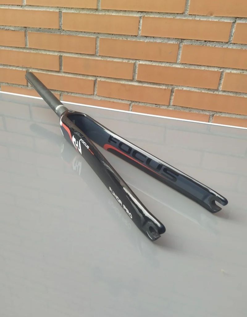 Used Focus Cayo LTD Funda Pro Carbón 9x100mm 700c. Fork