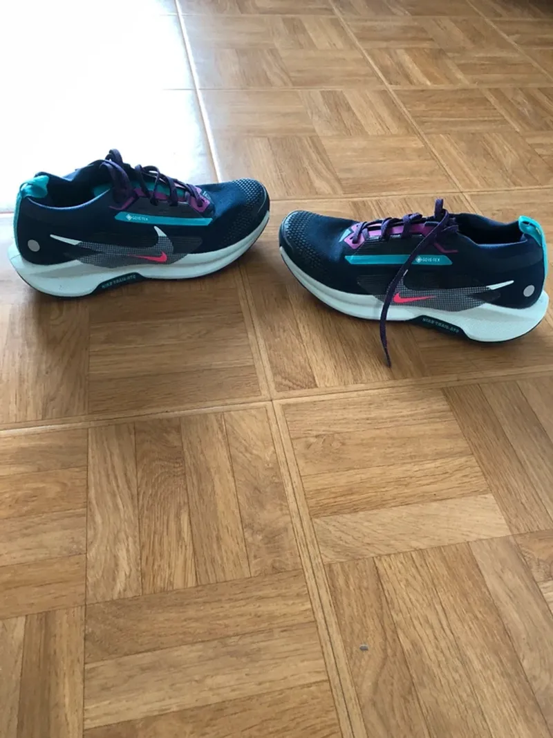 Used Pegasus Nike Trail 5 Gore-Tex Running Shoes
