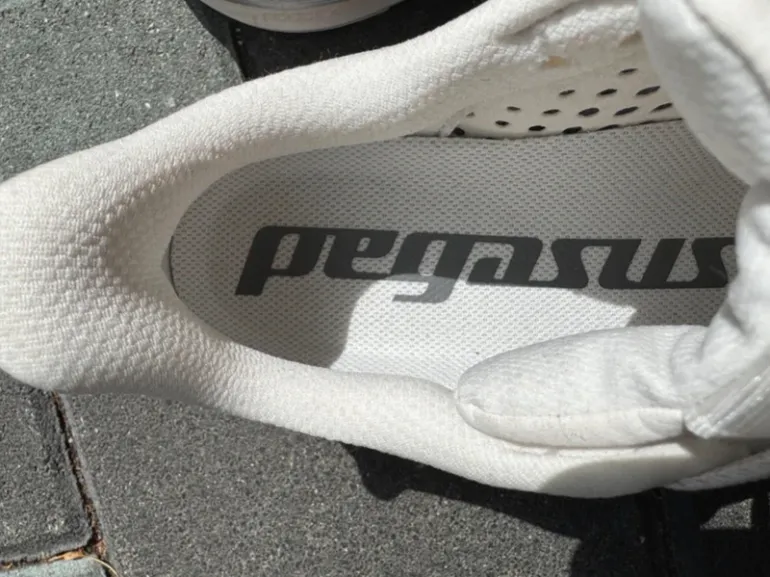 Used Pegasus Premium SE bike — image 3 of 4