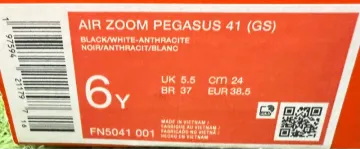 Used Pegasus Air Zoom bike — image 10 of 10