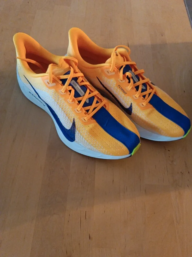 Pegasus Plus Running Shoes usato