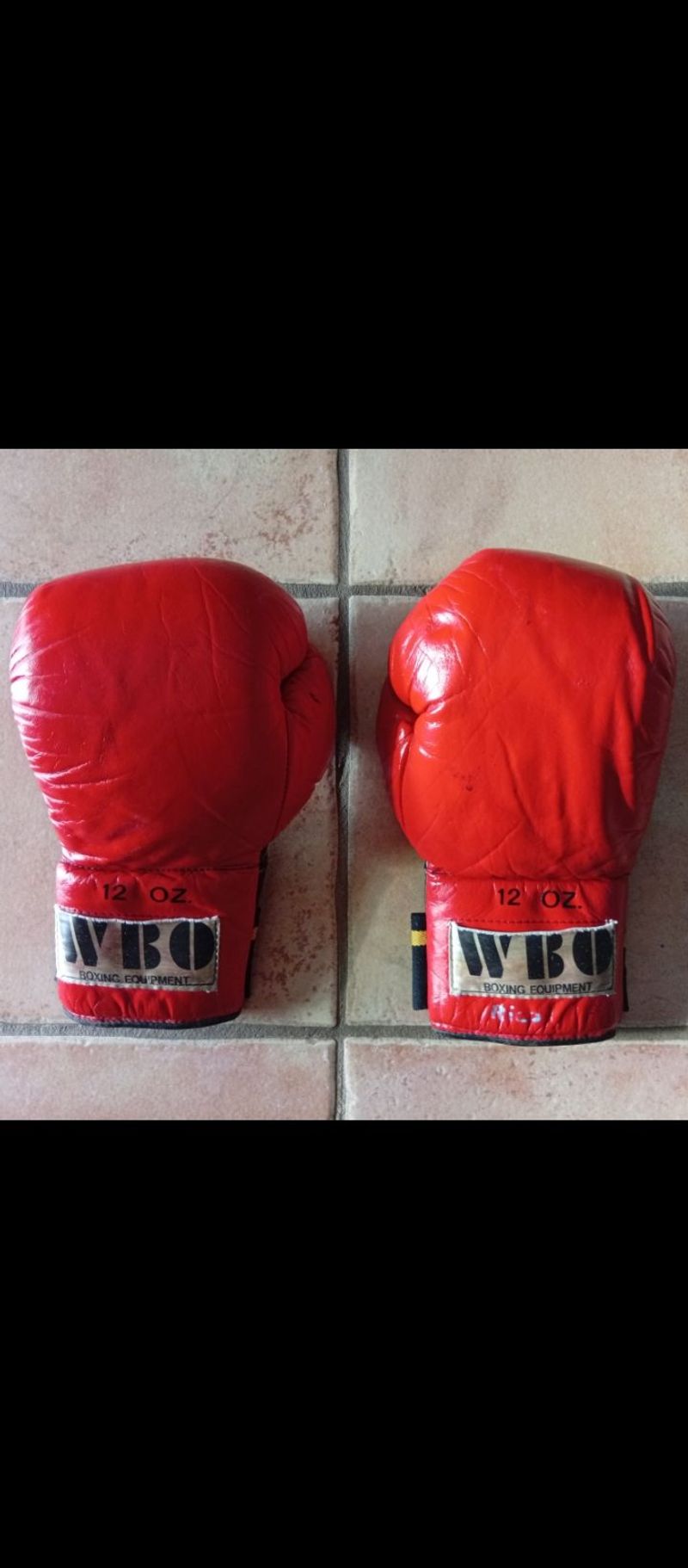 Brugt Warrior WBO 2024 Martial Arts & Boxing