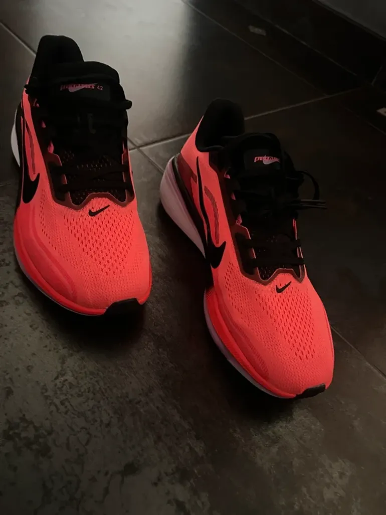 Brugt Pegasus 42 bike — billede 2 af 14