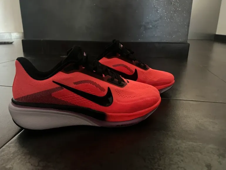 Brugt Pegasus 42 bike — billede 6 af 14