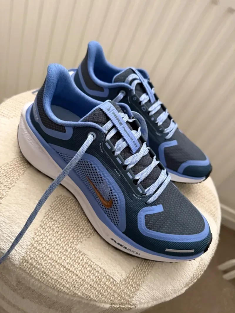 Used Pegasus 41 GORE-TEX Running Shoes