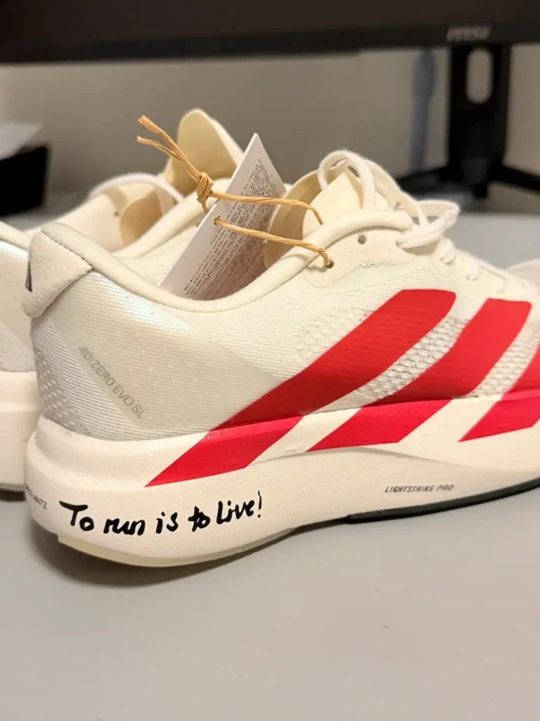 Used Lightweight Adizero Evo SL bike — image 4 of 9