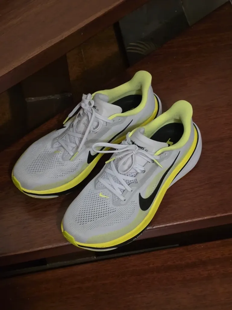 Nike Pegaso 42 bike usato — immagine 1 di 5