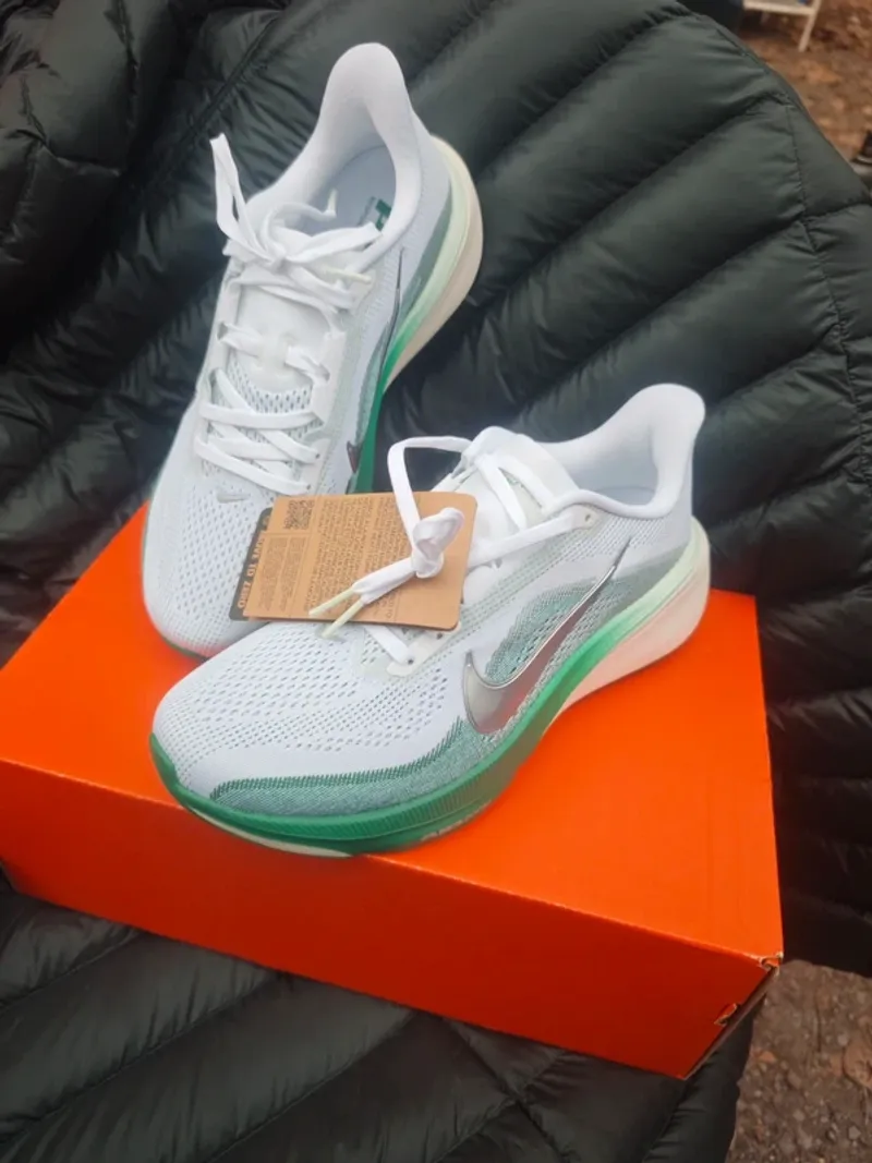 Gebrauchtes Pegasus 42 Running Shoes