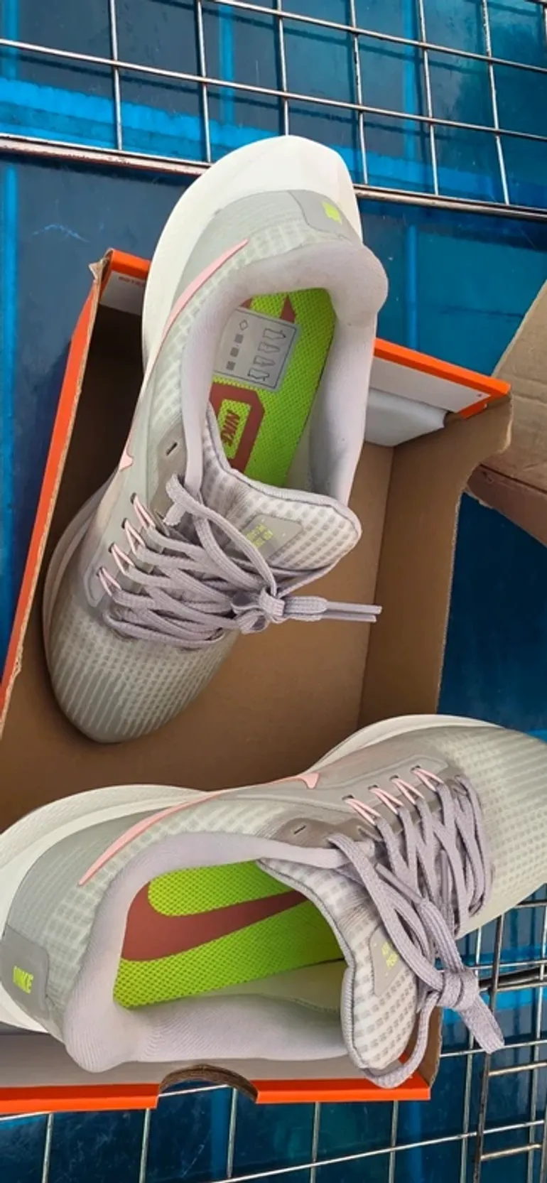 Pegasus 39 bike d'occasion — image 4 sur 6