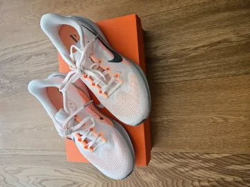 Used Pegasus Nike 41 bike — image 1 of 8