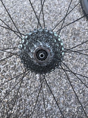 Miche SWR Full Carbon bike usato — immagine 2 di 2