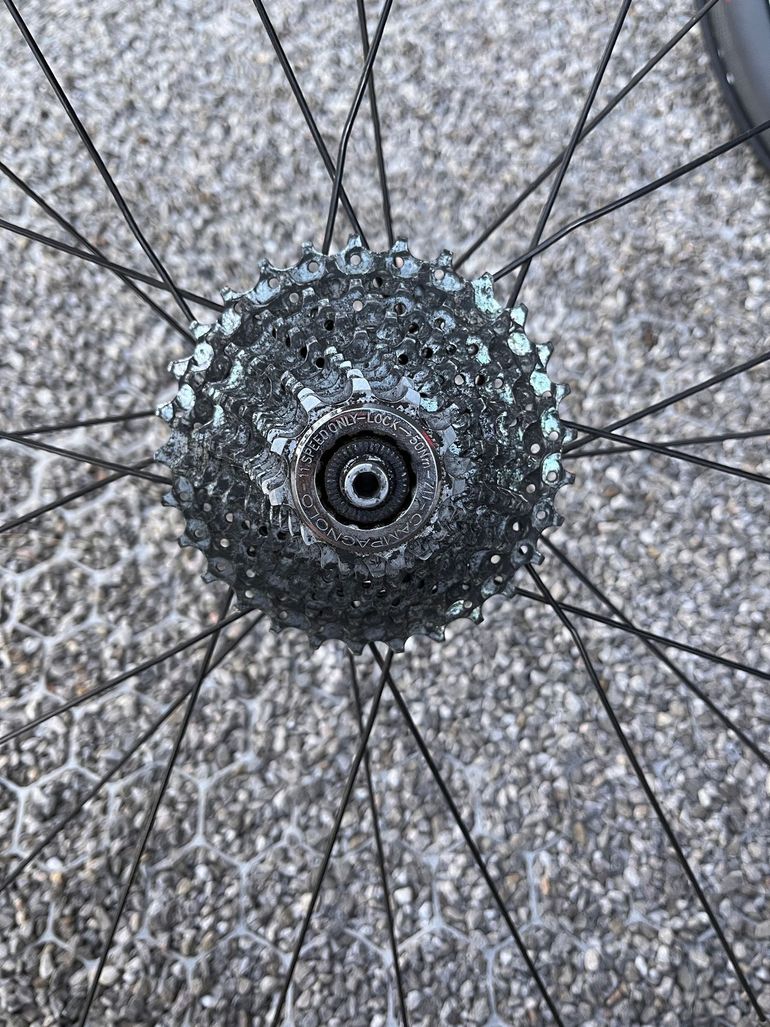 Miche SWR Full Carbon bike usato — immagine 2 di 2