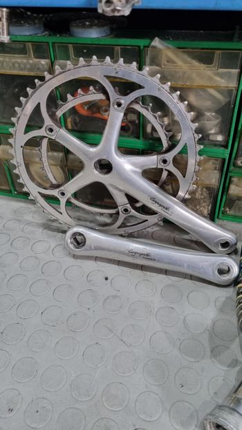Used Campagnolo CHORUS 8v. 1996 bike — image 5 of 10