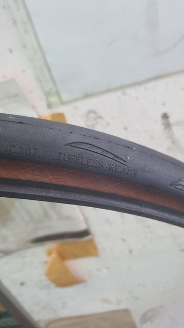 Brugt Continental Gran prix tr ready 2026 bike — billede 3 af 3