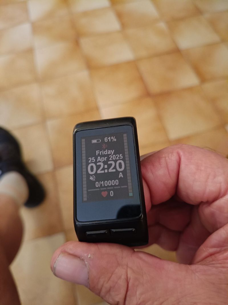 Tweedehands Garmin VivoActive hr Electronics