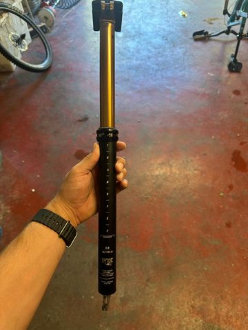 Fox Racing fox transfer 2024 bike d'occasion — image 1 sur 5
