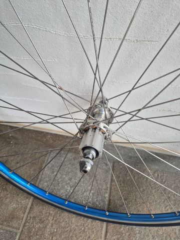 Gebrauchtes Mavic Open Pro / Campagnolo Wheelset bike — Bild 10 von 12