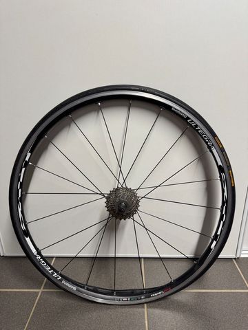 Shimano Ultegra C24 Wheels bike usato — immagine 1 di 8