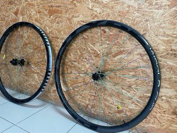 Used Pro totype World Cup 2024 bike
