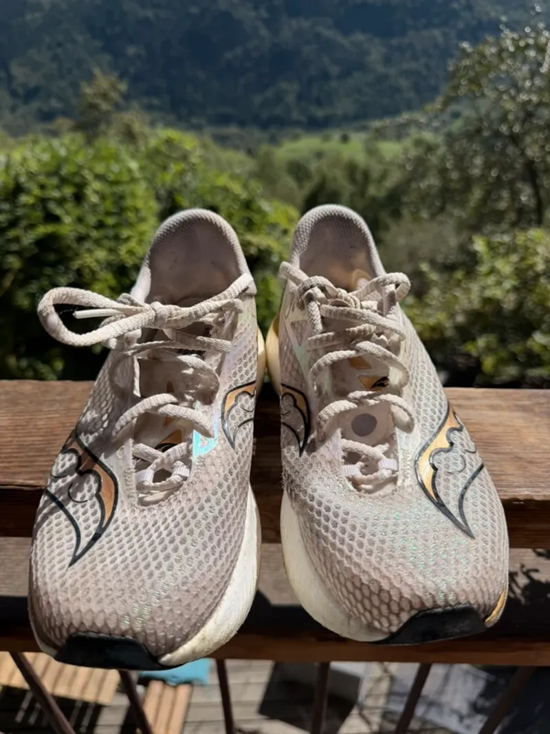 Gebrauchtes Pro Endorphin 3 Running Shoes