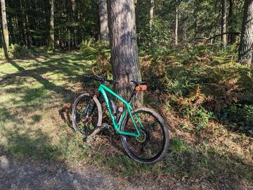 Used Roval Control Alloy 29 Boost Wheelset 2024 bike — image 3 of 7