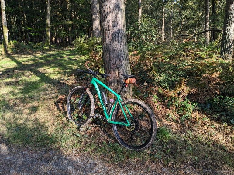 Used Roval Control Alloy 29 Boost Wheelset 2024 bike — image 3 of 7
