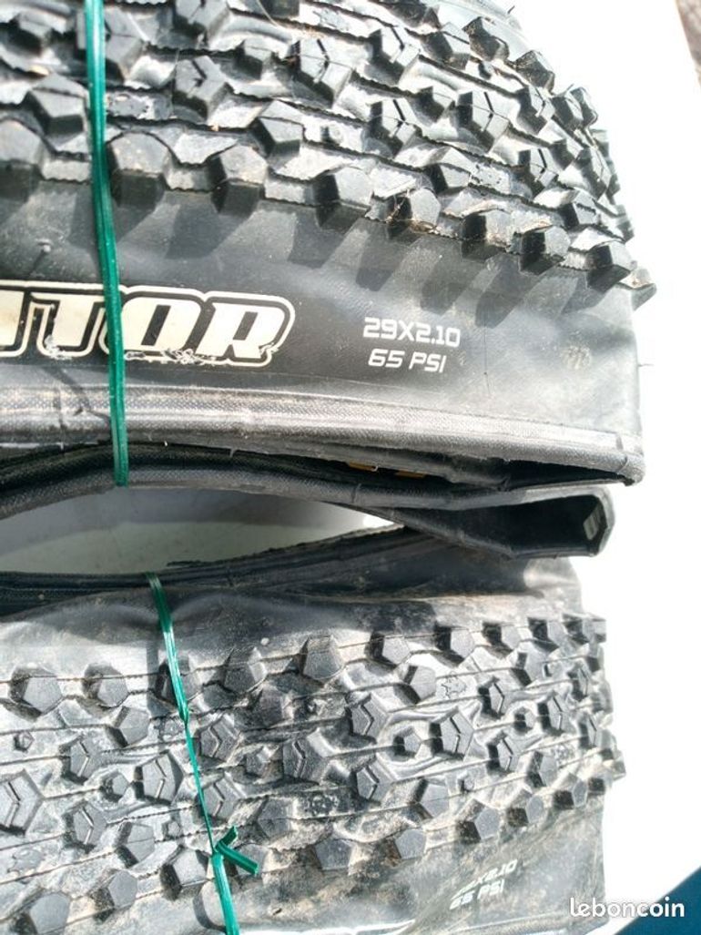 Maxxis Ignitor null