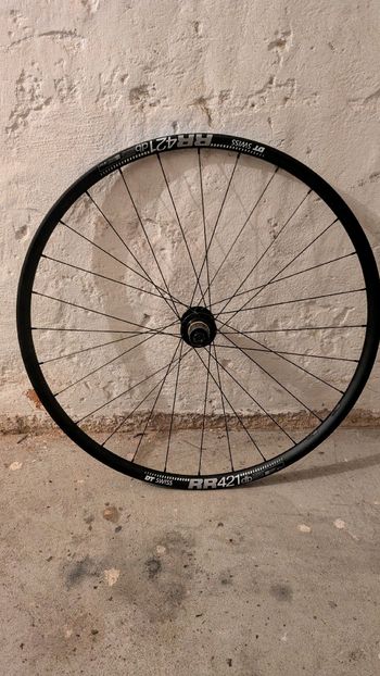 Used Dt Swiss 421 DB 2024 bike