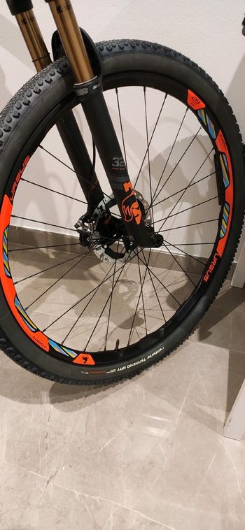 Used URSUS kodiak 2022 bike — image 2 of 5