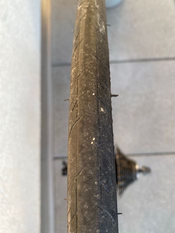 Used Alexrims Comp20 bike — image 8 of 8