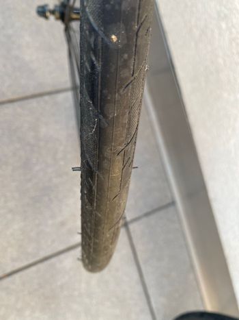 Used Alexrims Comp20 bike — image 7 of 8