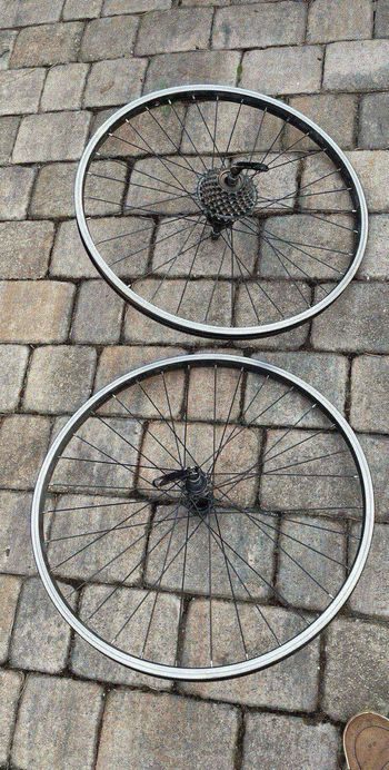 Atomz, shimano