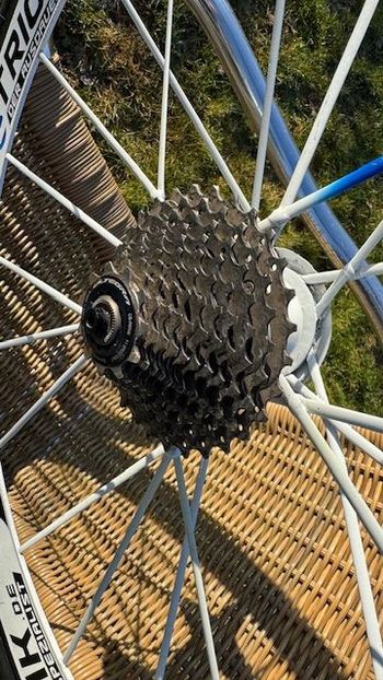 Brugt Lightweight Generation 3 mit Sonderlackierung bike — billede 4 af 4