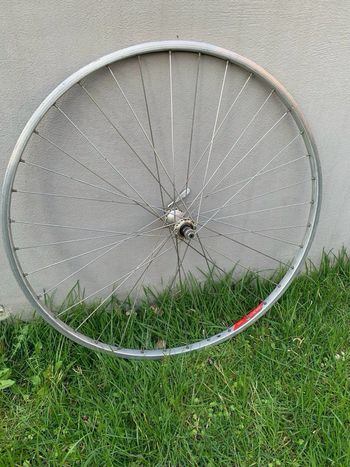 Used Campagnolo omicron strada 1993 bike — image 2 of 4