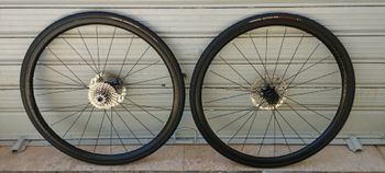 Bontrager, Affinity
