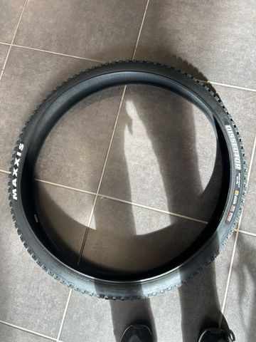 Brugt Maxxis dissector 2025 Tyres & Tubes