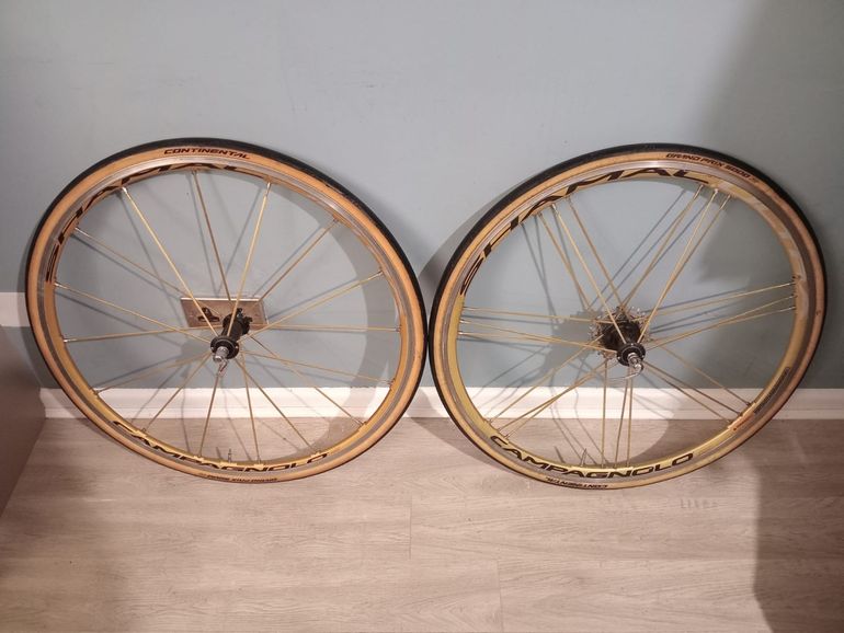 Used Campagnolo Shamal – € 600 | buycycle