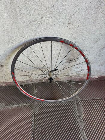Gebrauchtes ambrosio LUSTER 2015 bike — Bild 5 von 6