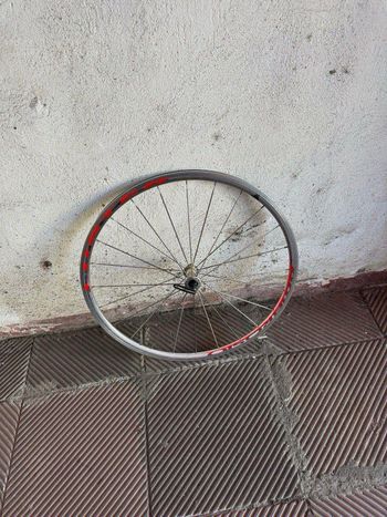 Gebrauchtes ambrosio LUSTER 2015 bike — Bild 1 von 6