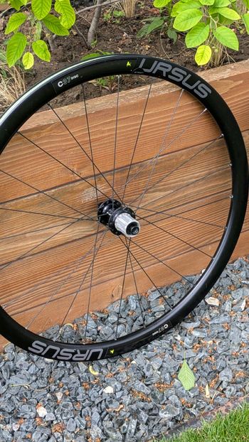 Used URSUS c37 bike — image 5 of 5