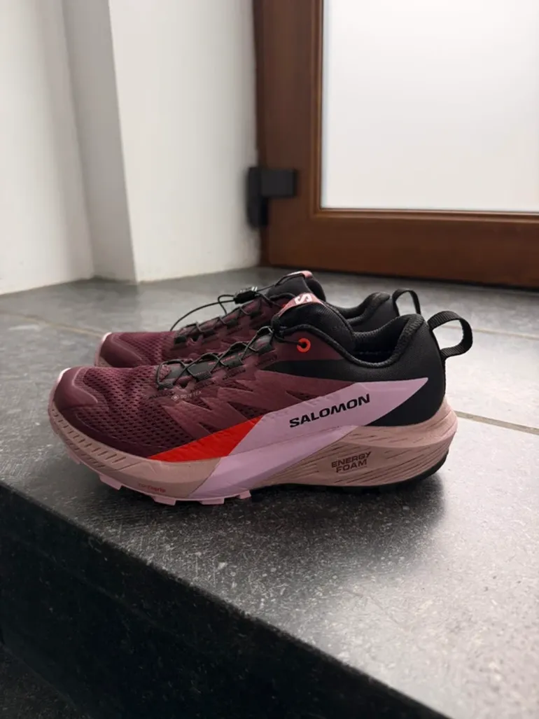 Gebraucht Salomon Sense Ride 5 Goretex – € 80 | buycycle