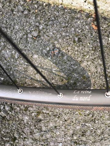 Used Campagnolo Nemesis 2014 bike — image 7 of 7
